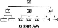 关于下图所示的线性组织结构,下列叙述有误的一项是.a.