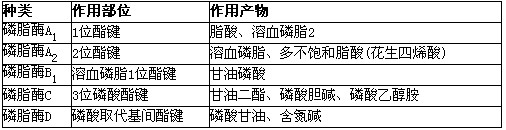 磷脂酰肌醇4,5-二磷酸可为下列哪一种酶水解成甘油二酯和1,4,5-三磷酸