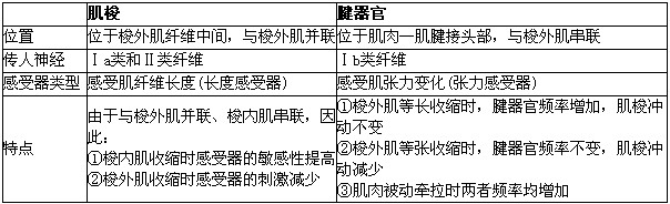 感受装置位于肌梭中间部位b.肌梭的传人神经为Ⅰa类和Ⅱ类纤