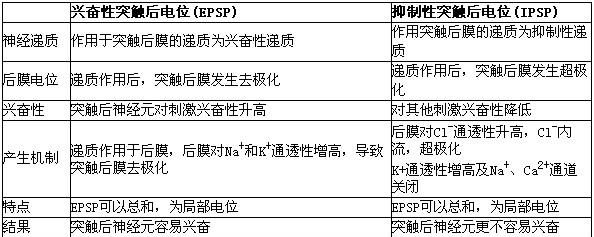 兴奋性突触后电位的电变化是a.极化b.去极化c.超极化d.反极化e.复极化