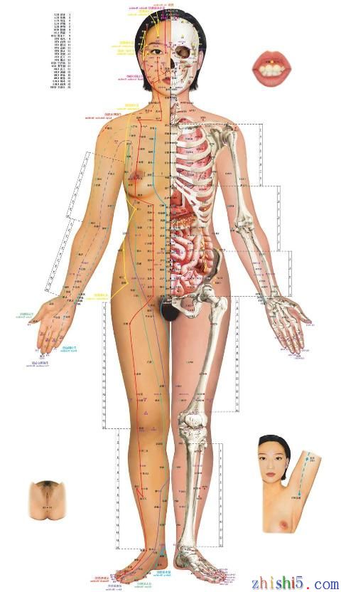 女全身正面全裸实图