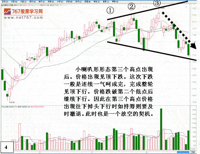 喇叭口形态图解图片